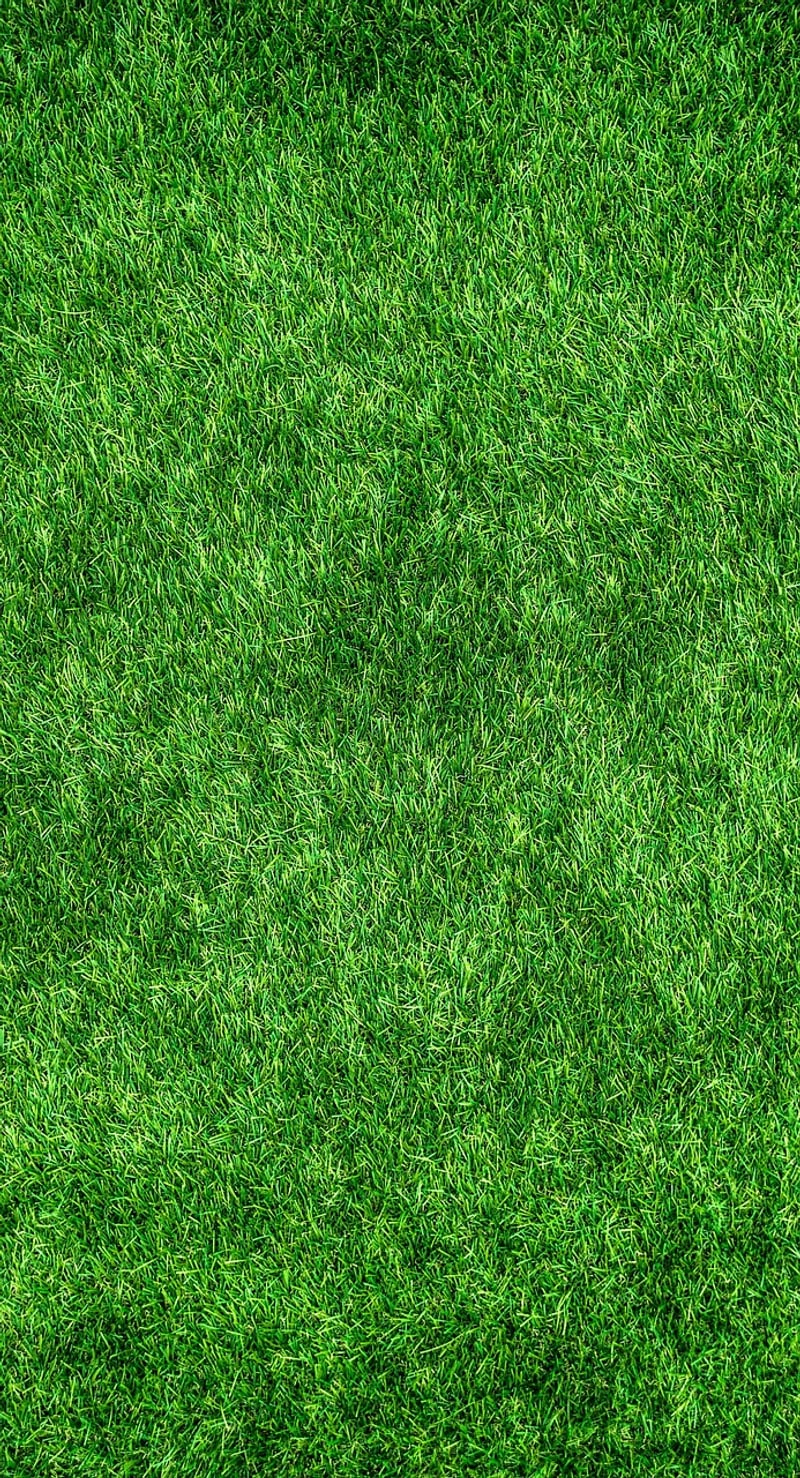 Eco-friendly Textiles
